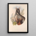 Die Säugetiere Australiens Pl075 - John Gould — gerahmtes Bild an der Wand