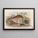 Die Säugetiere Australiens Pl096 - John Gould — gerahmtes Bild an der Wand