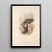 Die Säugetiere Australiens Pl138 - John Gould — gerahmtes Bild an der Wand
