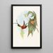 Topaza pyra - John Gould — gerahmtes Bild an der Wand