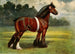 Étalon Shire Halstead Royal Duke - John Hanson Walker Jr — Ansicht des Kunstwerks