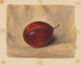 Pflaumen - John Henry Hill — Ansicht des Kunstwerks