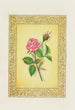 Rose - John Henry Ingram — Ansicht des Kunstwerks
