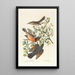 Spötter der Berge männlich 2 3 Auerhuhn mit Halsband männlich weiblich - John James Audubon — gerahmtes Bild an der Wand
