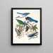 Pie bavarde 2 Geai de Steller 3 Geai outremer 4 5 Corneille de Clark - John James Audubon — gerahmtes Bild an der Wand