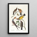 Tyrann des Arkansas Tyrann mit gegabeltem Schwanz - John James Audubon — gerahmtes Bild an der Wand