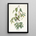 Paruline automnale - John James Audubon — gerahmtes Bild an der Wand