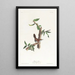 Paruline de Bewick - John James Audubon — gerahmtes Bild an der Wand