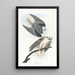 Buse à ailes noires - John James Audubon — gerahmtes Bild an der Wand