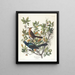 Quiscale à queue de bateau - John James Audubon — gerahmtes Bild an der Wand