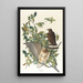 Buse à larges ailes - John James Audubon — gerahmtes Bild an der Wand