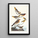Bullock-Oriole, Baltimore-Oriole, Mexikanischer Stieglitz, Vielschnabel, Bachstelze - John James Audubon — gerahmtes Bild an der Wand