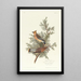 Jaseur des cèdres - John James Audubon — gerahmtes Bild an der Wand