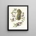 Meise mit braunem Rücken, Schwarzkopf-Meise, Braunkrone-Meise - John James Audubon — gerahmtes Bild an der Wand