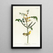 Paruline des enfants - John James Audubon — gerahmtes Bild an der Wand