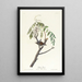 Bruant familier - John James Audubon — gerahmtes Bild an der Wand