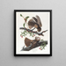 La veuve de Chuck Wills - John James Audubon — gerahmtes Bild an der Wand