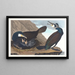 Großes Kormoran-Gemälde - John James Audubon — gerahmtes Bild an der Wand