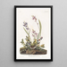 Bruant des champs - John James Audubon — gerahmtes Bild an der Wand