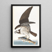Balbuzard pêcheur - John James Audubon — gerahmtes Bild an der Wand