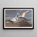 Fou de Bassan - John James Audubon — gerahmtes Bild an der Wand