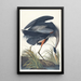 Großes Blaureiher-Gemälde - John James Audubon — gerahmtes Bild an der Wand
