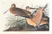 Großes Marmoriertes Gemälde der Barge - John James Audubon — Ansicht des Kunstwerks