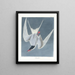 Sterne cendrée - John James Audubon — gerahmtes Bild an der Wand