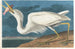 Großes Gemälde des weißen Storchs - John James Audubon — Ansicht des Kunstwerks