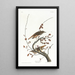 Grive solitaire - John James Audubon — gerahmtes Bild an der Wand