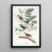 Passerin Indigo - John James Audubon — gerahmtes Bild an der Wand