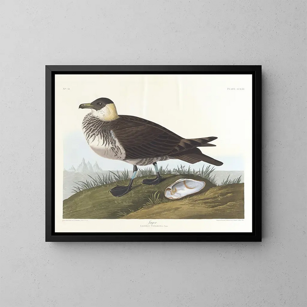 Jäger - John James Audubon — gerahmtes Bild an der Wand
