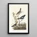 Bruant des prés Bruant des prairies Moineau chanteur brun - John James Audubon — gerahmtes Bild an der Wand