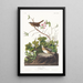 Bruant de Lincoln - John James Audubon — gerahmtes Bild an der Wand