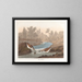 Petit bécasseau - John James Audubon — gerahmtes Bild an der Wand