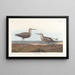 Bécasseau à longues pattes - John James Audubon — gerahmtes Bild an der Wand
