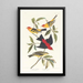Louisiane Tangara mit scharlachrotem Tangara - John James Audubon — gerahmtes Bild an der Wand