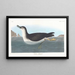 Puffin des Engländers - John James Audubon — gerahmtes Bild an der Wand