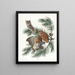 Eule mit Flecken - John James Audubon — gerahmtes Bild an der Wand