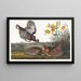 Tétras à Plumes - John James Audubon — gerahmtes Bild an der Wand