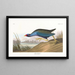 Talève violacée - John James Audubon — gerahmtes Bild an der Wand