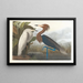 Heron pourpré - John James Audubon — gerahmtes Bild an der Wand