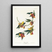 Paruline de Rathbone - John James Audubon — gerahmtes Bild an der Wand