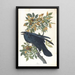 Krähe - John James Audubon — gerahmtes Bild an der Wand