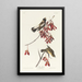 Rebhuhn der Reisfelder - John James Audubon — gerahmtes Bild an der Wand