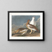 Felsen-Gruppe - John James Audubon — gerahmtes Bild an der Wand