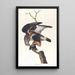 Faucon à pattes rugueuses - John James Audubon — gerahmtes Bild an der Wand