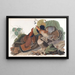 Gélinotte huppée - John James Audubon — gerahmtes Bild an der Wand