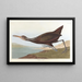 Scolopax courlan - John James Audubon — gerahmtes Bild an der Wand