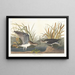 Chevalier solitaire - John James Audubon — gerahmtes Bild an der Wand